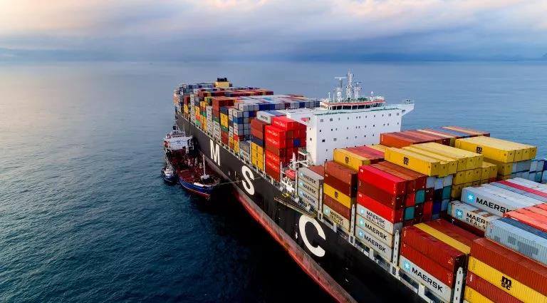 重磅！MSC、马士基、达飞、赫伯罗特等9大船公司，与4大国际组织成立新联盟！